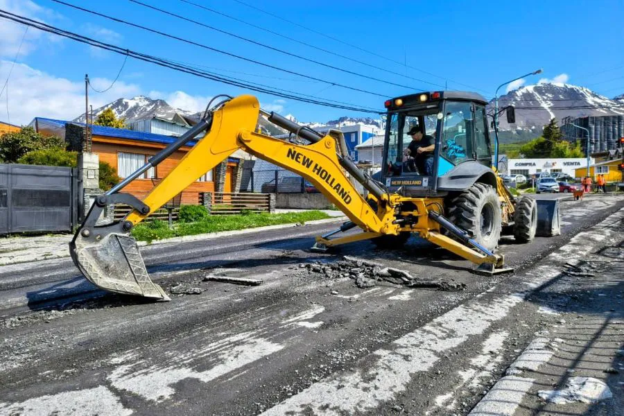 photo_4990026415226948382_y