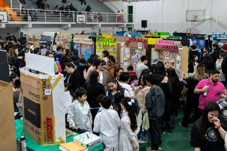 20 proyectos de la Feria de Artes, Ciencia y Tecnología representarán a la provincia a nivel nacional