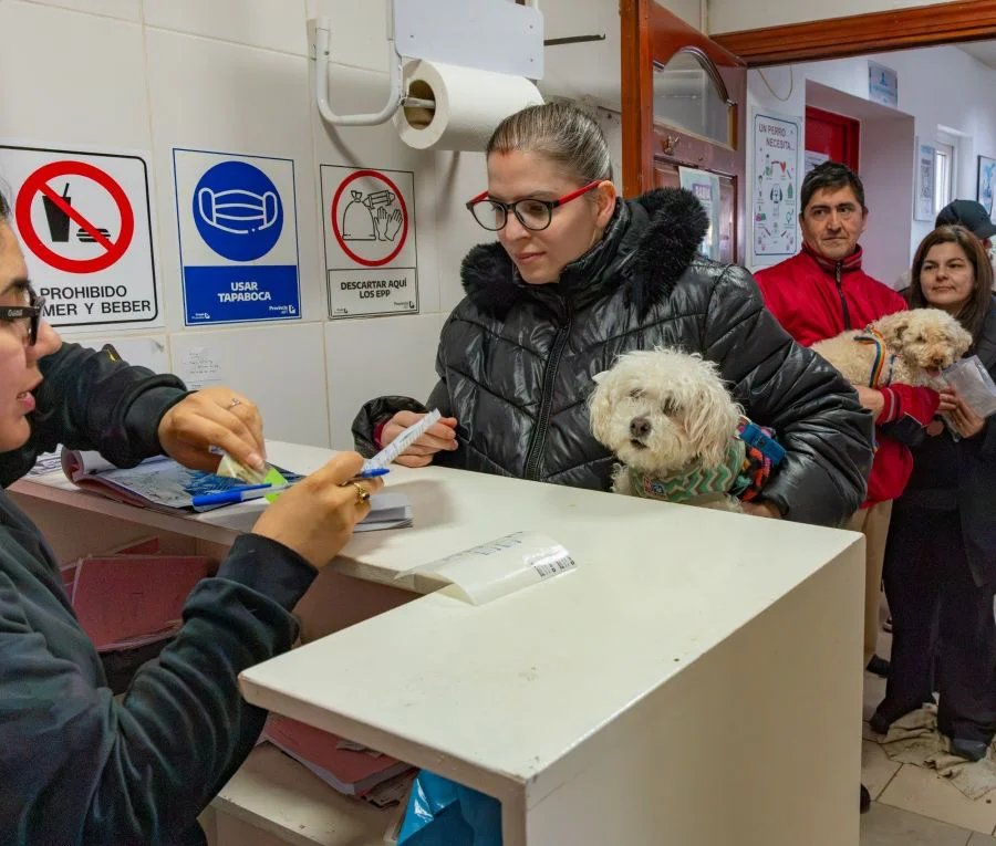 Durante la jornada de cuidados de mascotas se atendieron a casi 200 animales