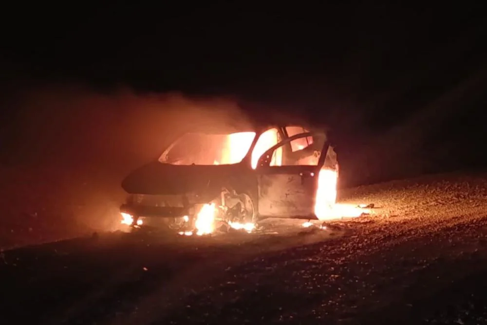 WhatsApp Image 2026-04-10 at 09.14.47