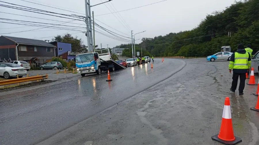 photo_5096324016829565846_y