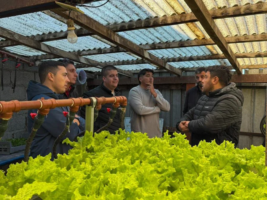 photo_5033092868347726694_y