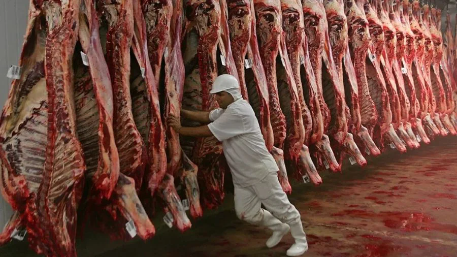 Argentina quedó afuera del nuevo cupo de 300.000 toneladas de carne que importará EE.UU.