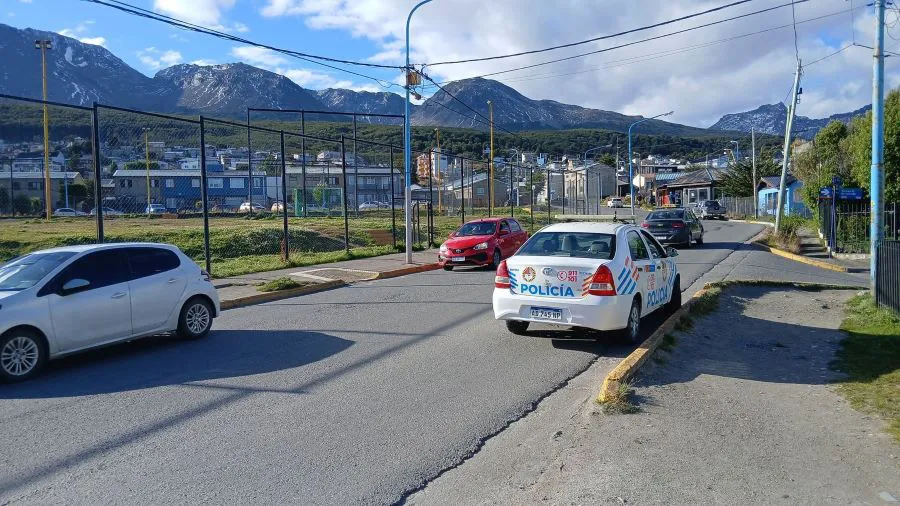 WhatsApp Image 2026-02-13 at 19.54.52